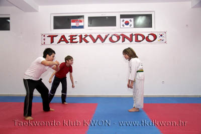 taekwondo kwon training